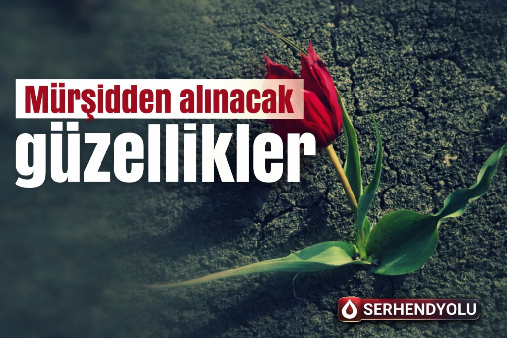 MÜRŞİDDEN ALINACAK GÜZELLİKLER