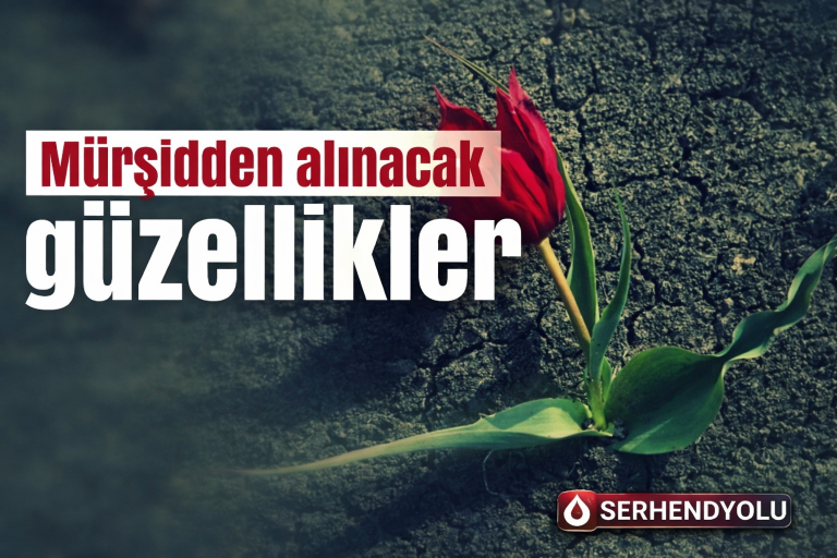 MÜRŞİDDEN ALINACAK GÜZELLİKLER