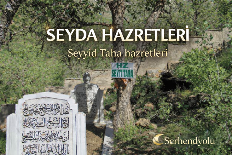 Seyyid Taha Hazretleri