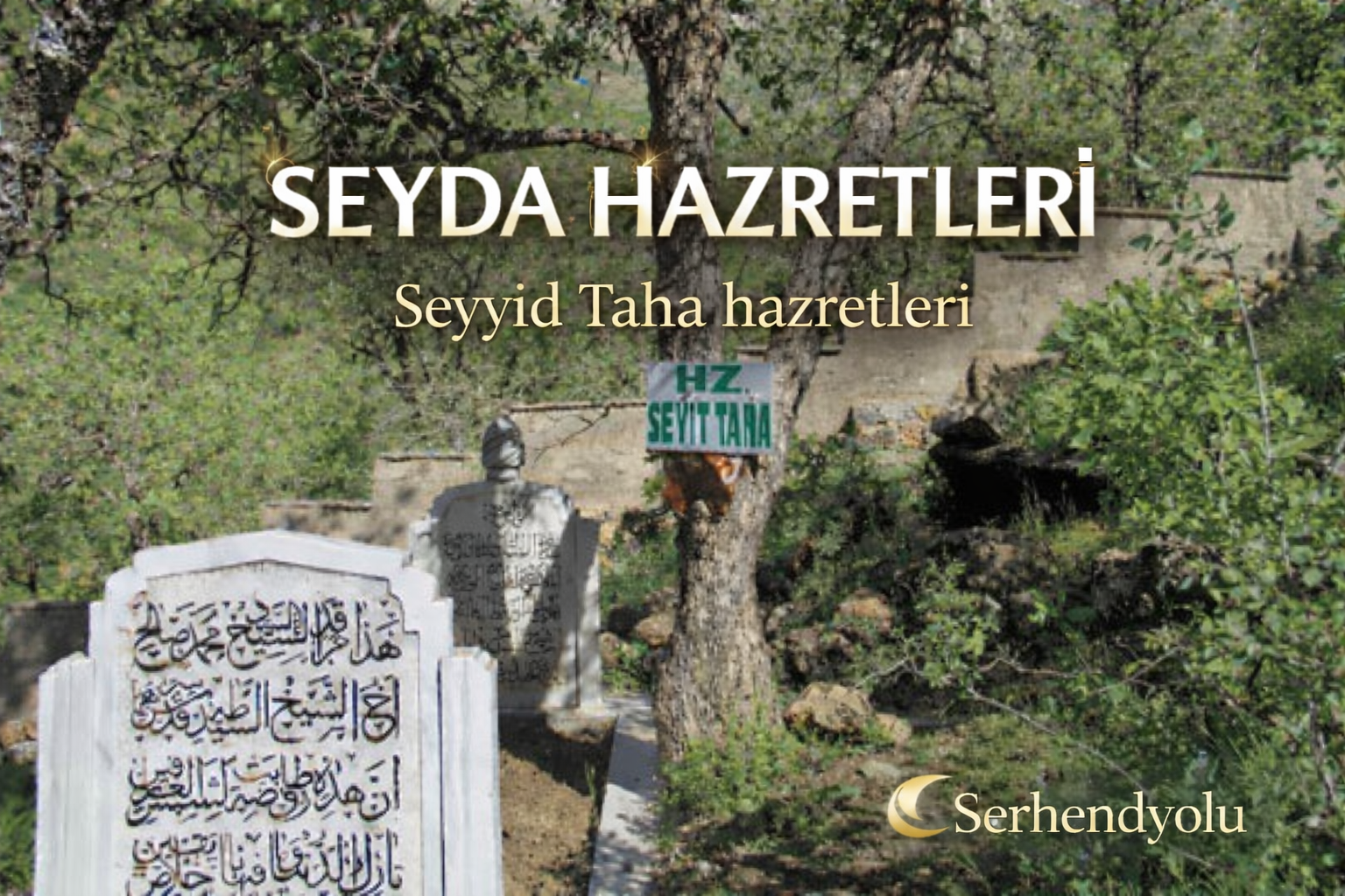 Seyyid Taha Hazretleri
