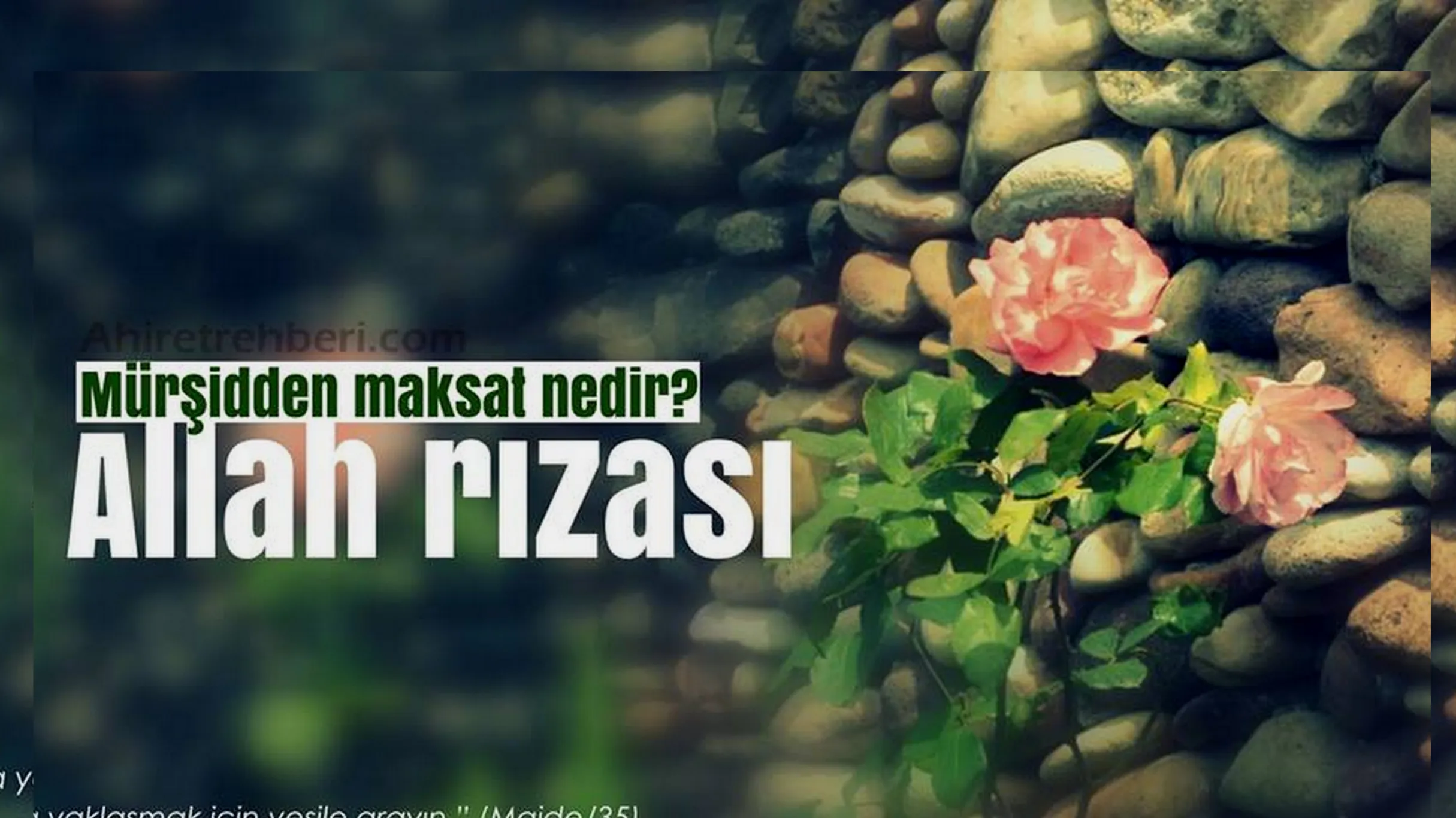 MÜRŞİDDEN MAKSAT