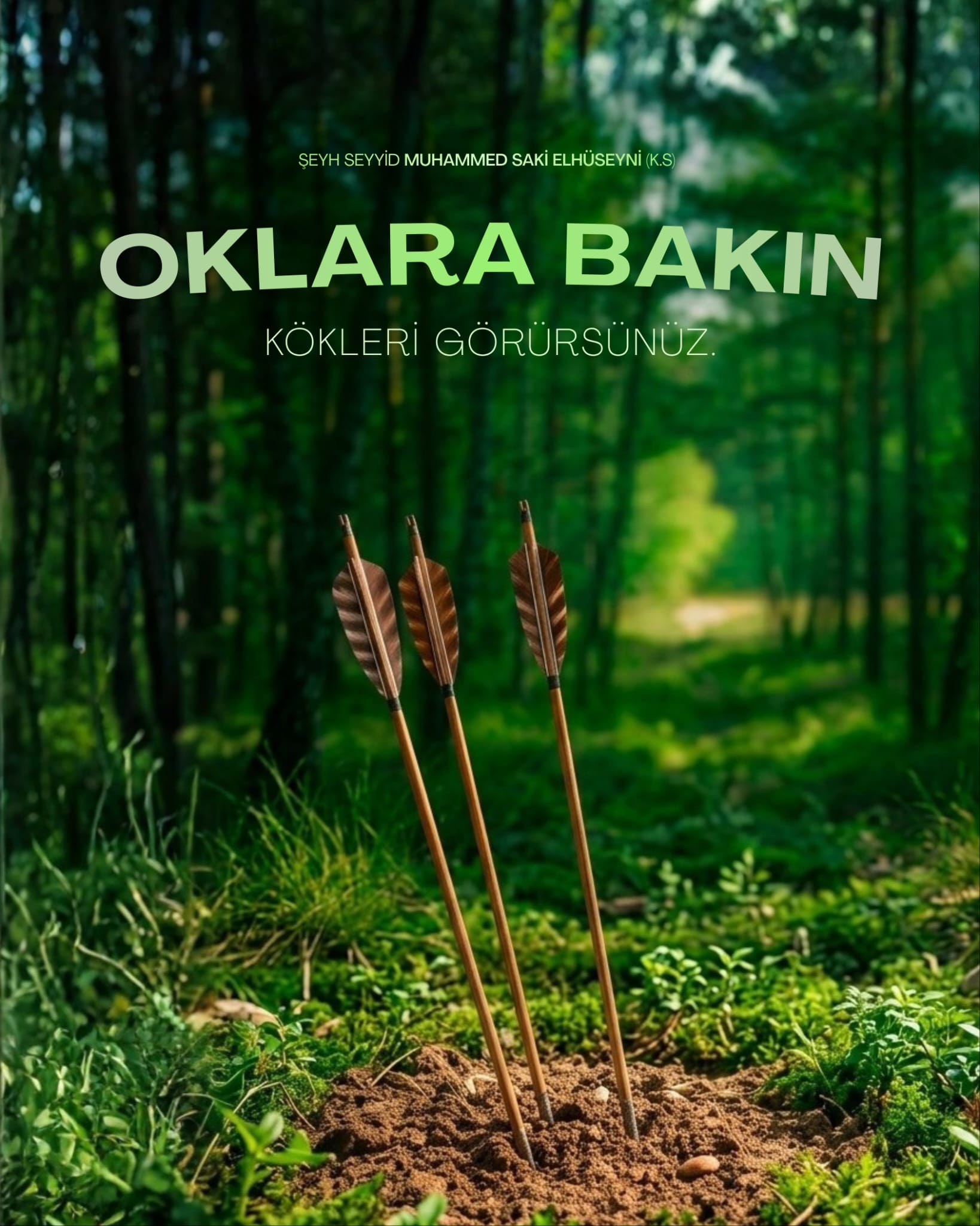 Oklara Bakın, Kökleri Görürsünüz