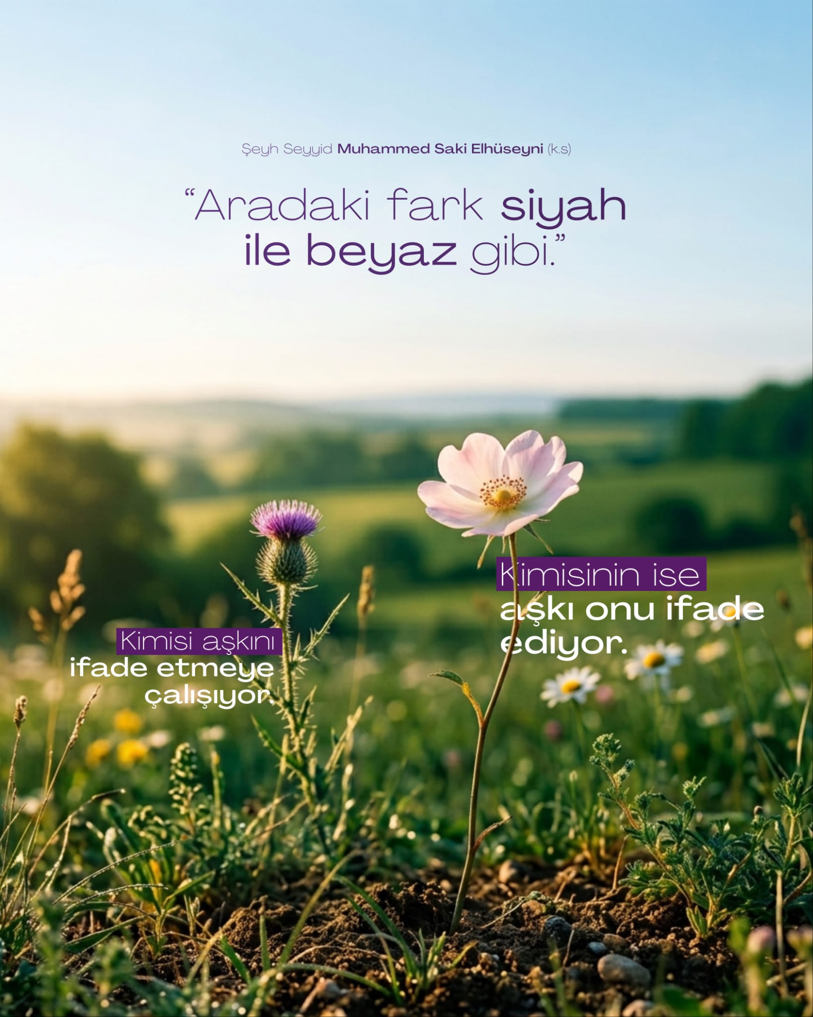Aradaki Fark Siyah ile Beyaz Gibi