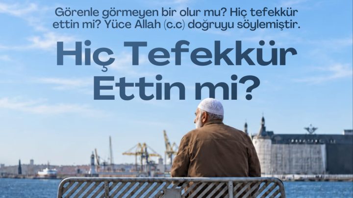 Hiç Tefekkür Ettin mi? Görmekten İbret Almaya